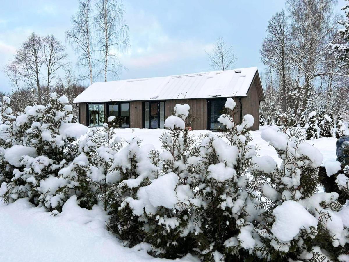 Paerli Puhkemaja / Pearl Riverside House Pudisoo Kültér fotó