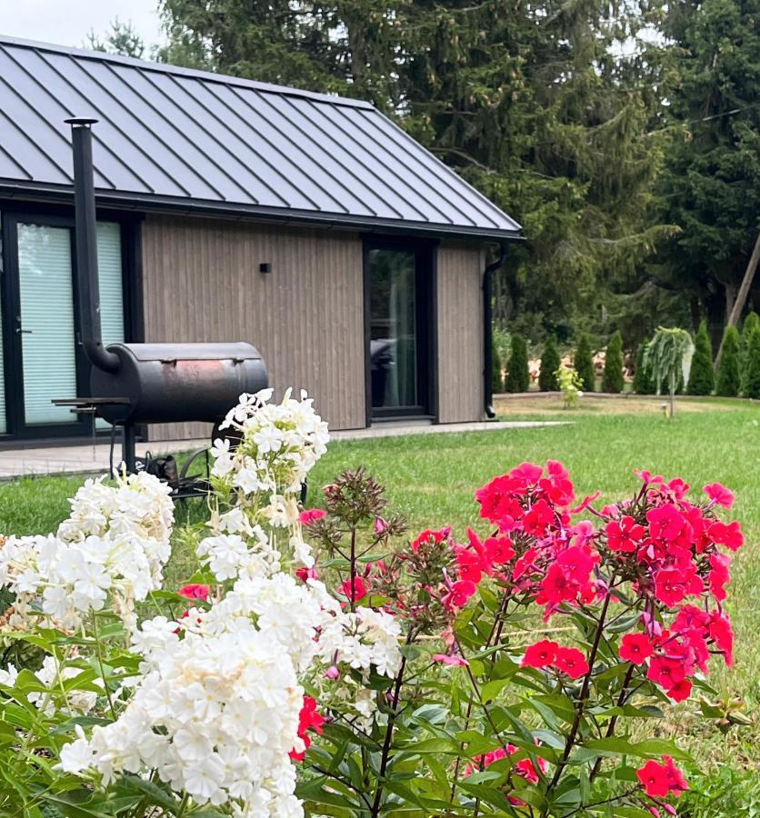 Paerli Puhkemaja / Pearl Riverside House Pudisoo Kültér fotó